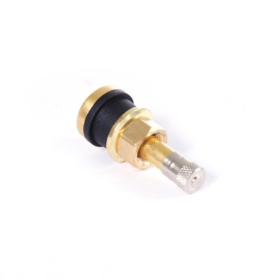 TMRTR501-50 image(0) - Tire Mechanic's Resource TR501 Brass Truck Valve (Pack of 50)