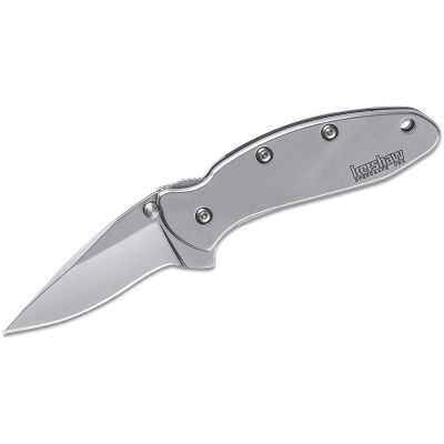 KER1600 image(0) - Kershaw Chive Assisted Open Liner Lock Drop Point Blade EDC Folding Pocket Knife - Silver