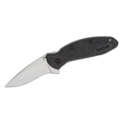 KER1620 image(0) - Kershaw Scallion Assisted Open Inset Liner Lock Drop Point Blade EDC Folding Pocket Knife - Black