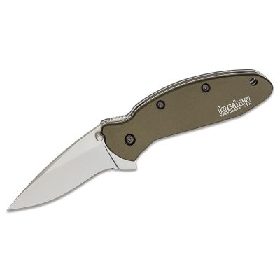 KER1620OL image(0) - Kershaw Scallion Assisted Open Inset Liner Lock Drop Point Blade EDC Folding Pocket Knife - Olive