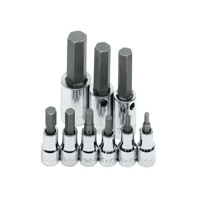 SKT19734 image(0) - S K Hand Tools SOCKET HEX BIT SET 3/8IN. DRIVE 9PC METRIC