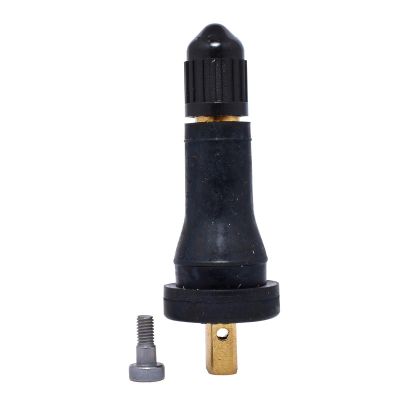 DILVS-20-25 image(0) - Dill Air Controls TPMS SNAP-IN VALVE 25-PACK