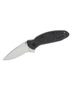 KER1620 image(0) - Kershaw Scallion Assisted Open Inset Liner Lock Drop Point Blade EDC Folding Pocket Knife - Black