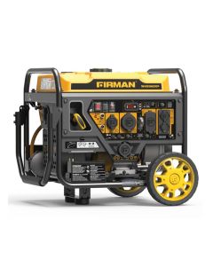 Firman 4200/3650W Gas 3800/3300W LPG Dual Fuel Recoil Electric Start Open Frame Inverter Portable Generator, CARB, EPA, cETL certified